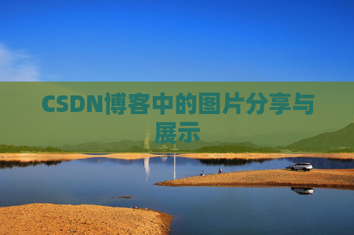 CSDN博客中的图片分享与展示